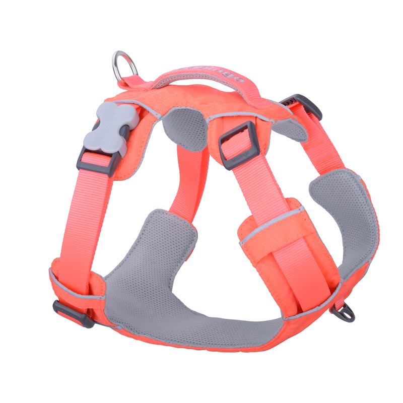 Sport Harness with Handle Red Dingo