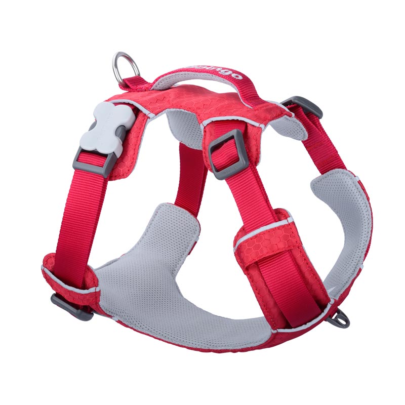 Sport Harness with Handle Red Dingo