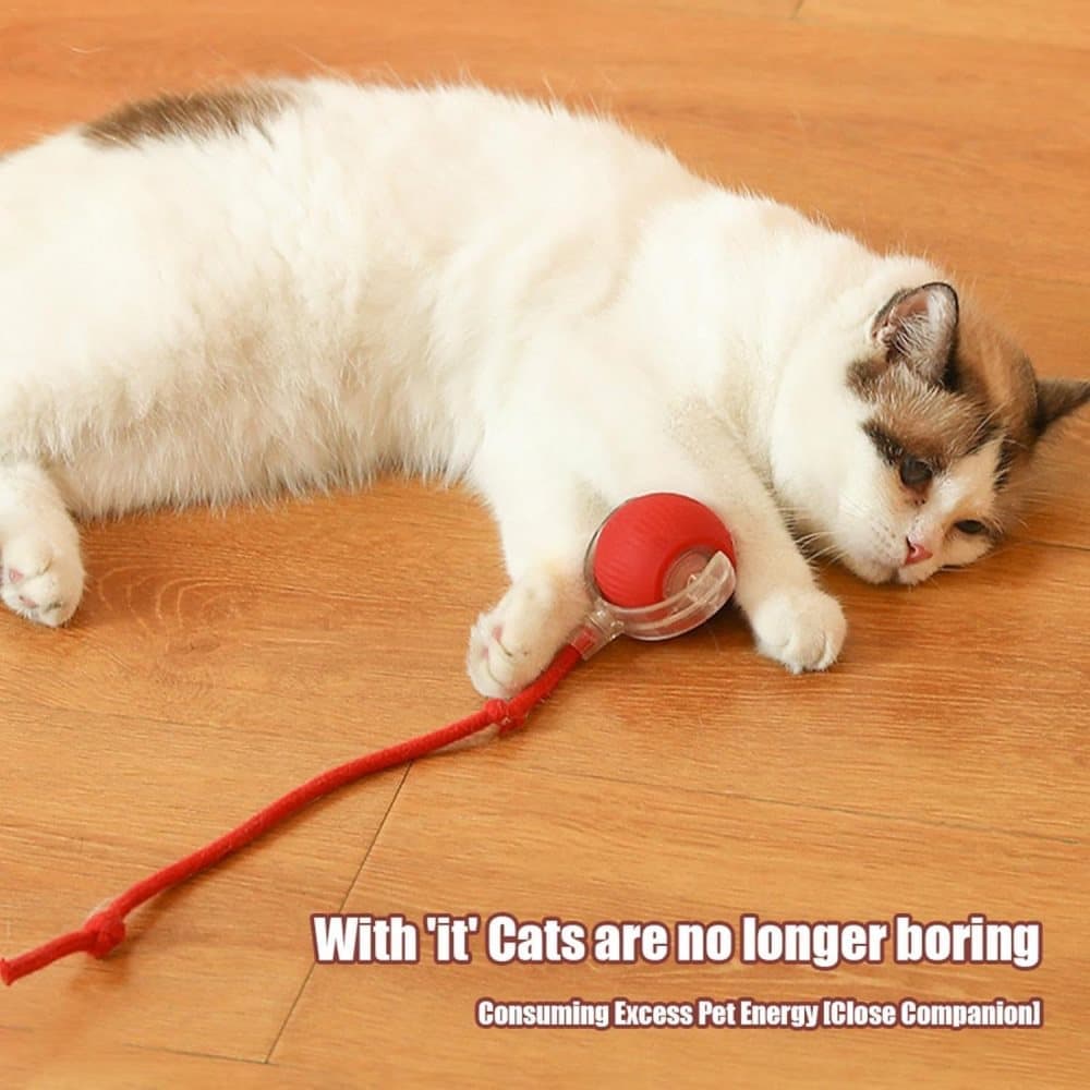 Smart Rolling Chew Ball for Dogs and Cats, Interactive Pet Toy, 2.5 inches