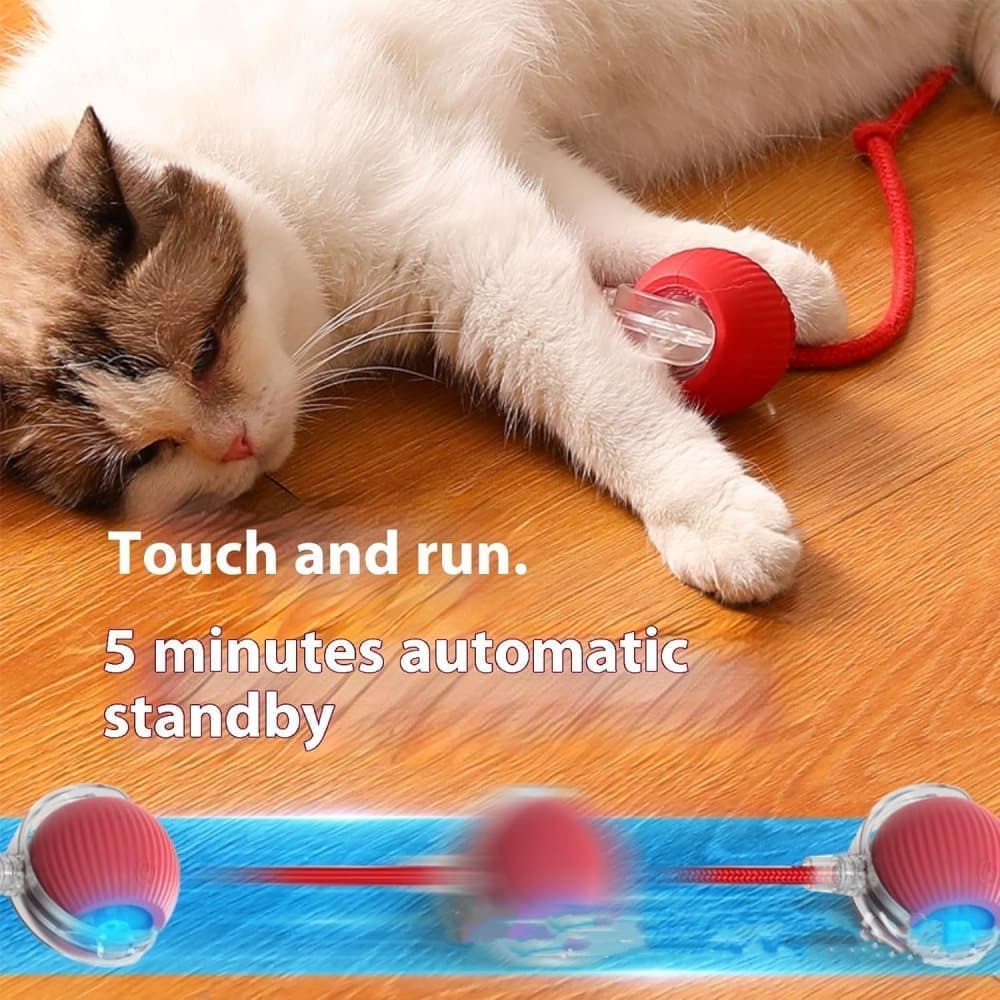 Smart Rolling Chew Ball for Dogs and Cats, Interactive Pet Toy, 2.5 inches