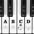 1 Pack Piano Keyboard Stickers for 88/61/54/49/37 Key,Full Set Piano Keyboard Stickers,Removable Piano Keyboard Letters,Notes Label for Beginners,Kids (Clear)