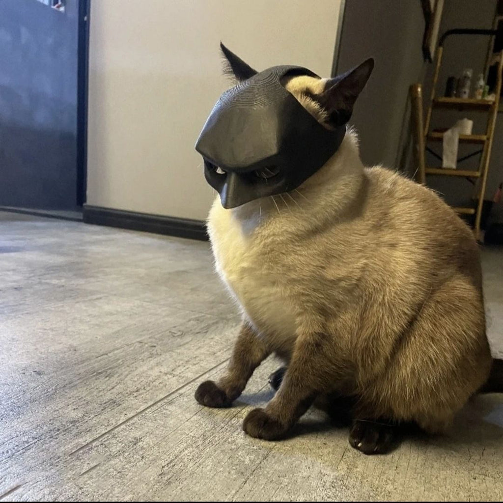 3D printed Black Batman Hood for Adult Cats Large