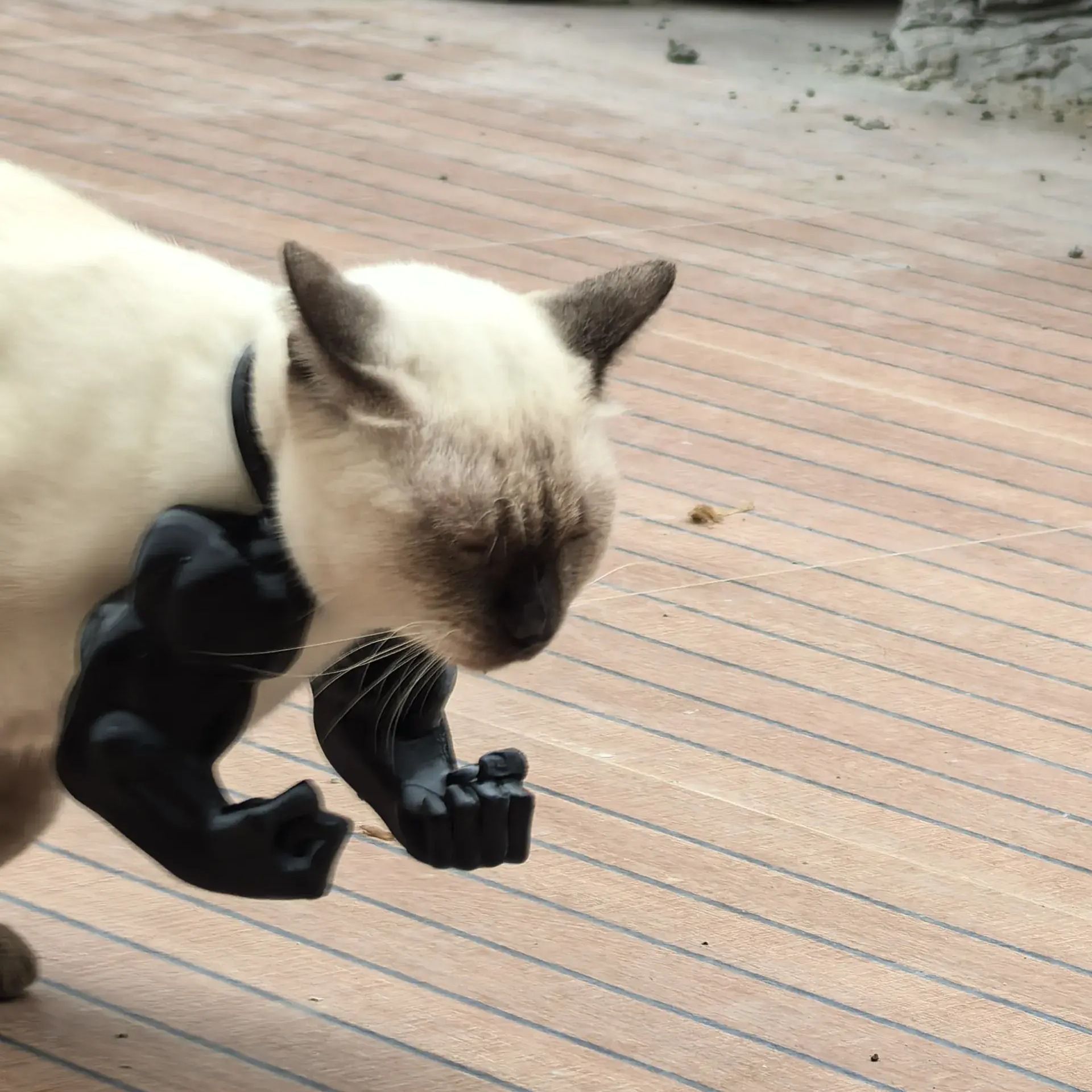 3D printed Black Batman Hood for Adult Cats Large
