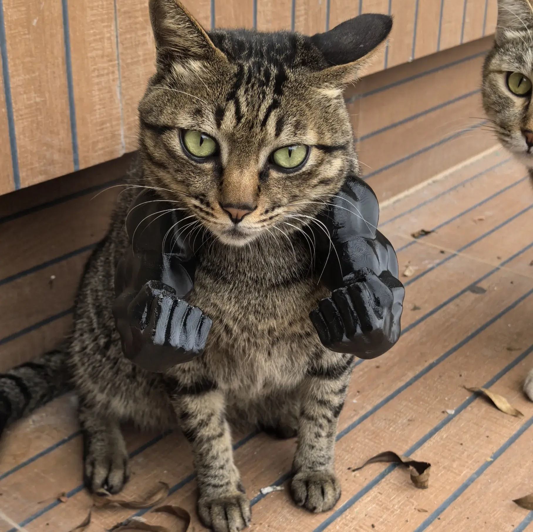 3D printed Black Batman Hood for Adult Cats Large