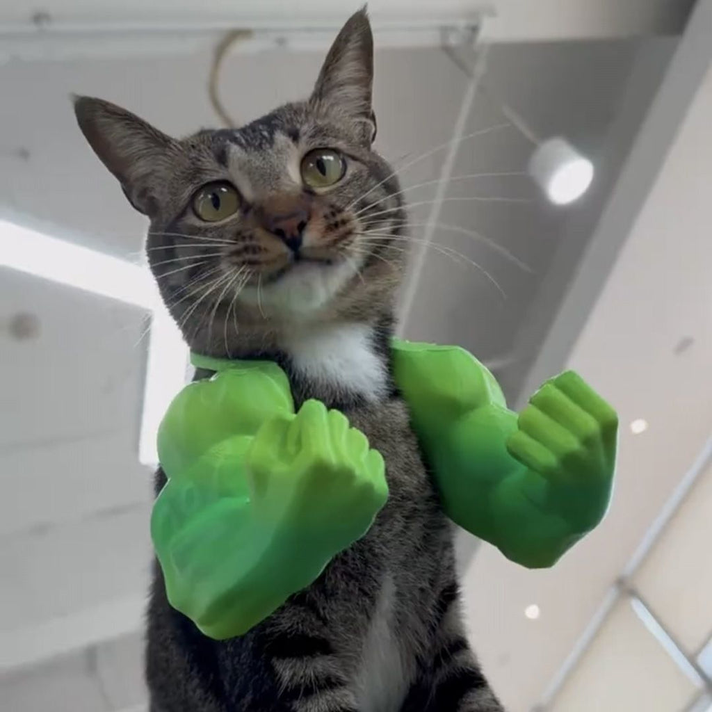 3D printed Black Batman Hood for Kittens Small