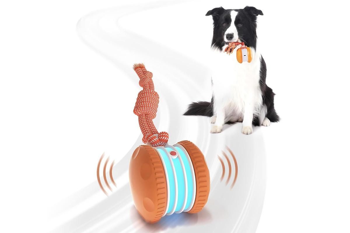 Interactive Pet Rolling Ball Toy Rechargeable Automatic Play Ball for Cats and Dogs - Orange