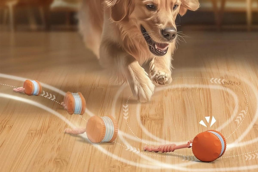 Interactive Pet Rolling Ball Toy Rechargeable Automatic Play Ball for Cats and Dogs - Orange