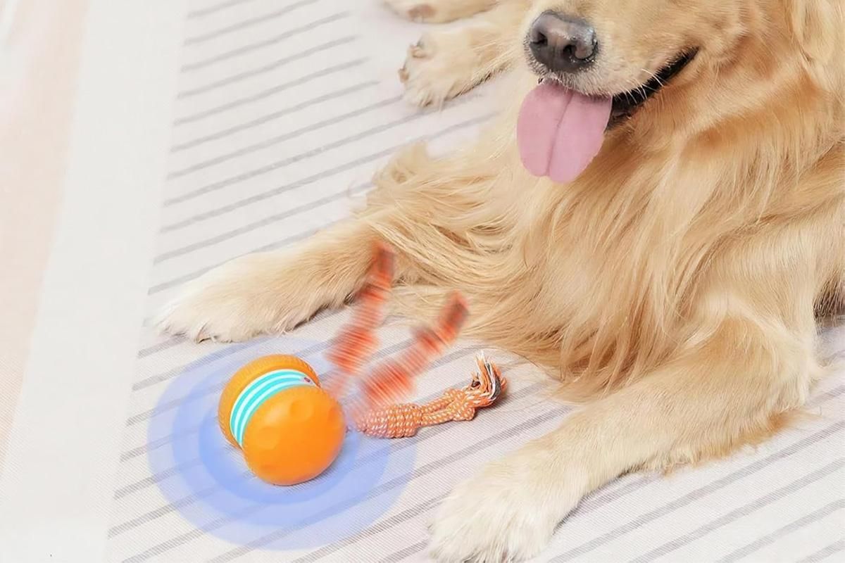 Interactive Pet Rolling Ball Toy Rechargeable Automatic Play Ball for Cats and Dogs - Orange