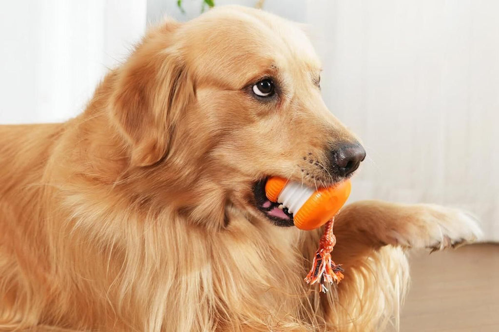 Interactive Pet Rolling Ball Toy Rechargeable Automatic Play Ball for Cats and Dogs - Orange