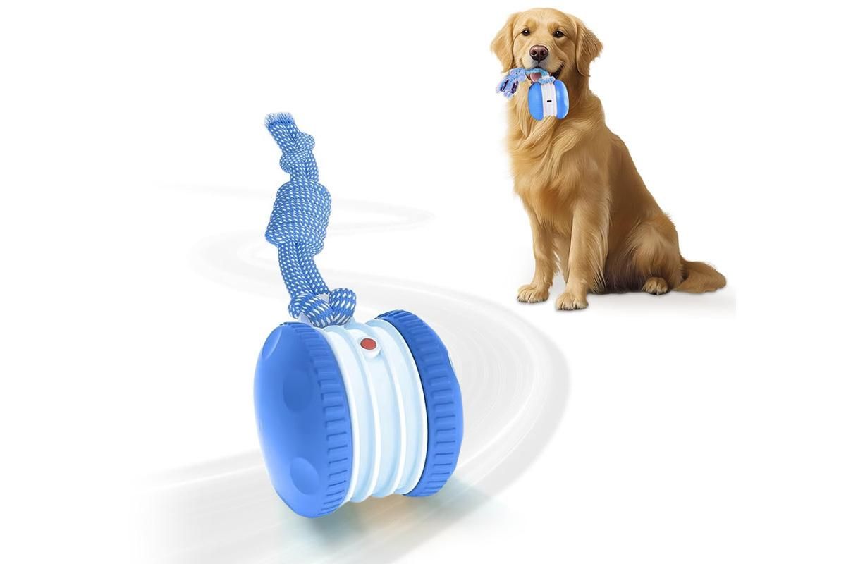 Interactive Pet Rolling Ball Toy Rechargeable Automatic Play Ball for Cats and Dogs - Blue