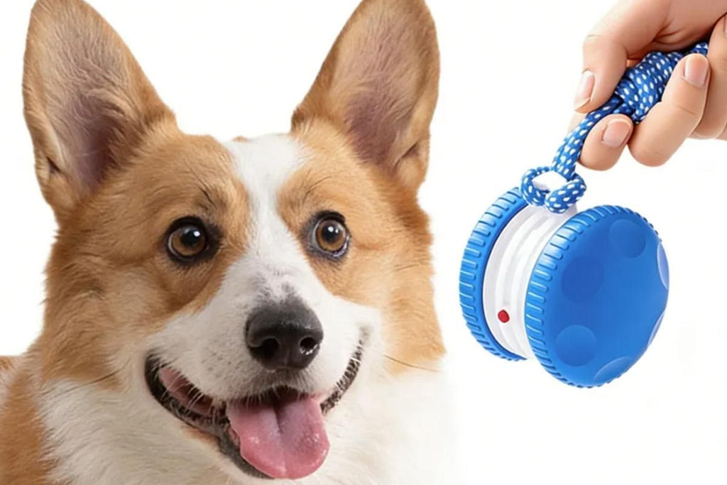 Interactive Pet Rolling Ball Toy Rechargeable Automatic Play Ball for Cats and Dogs - Blue