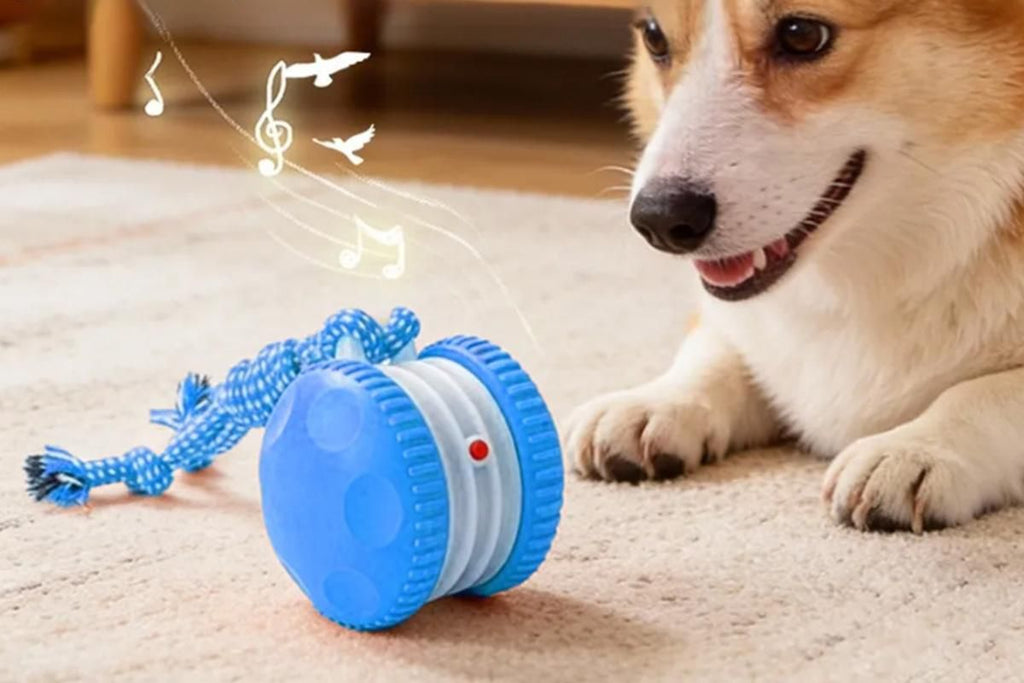 Interactive Pet Rolling Ball Toy Rechargeable Automatic Play Ball for Cats and Dogs - Blue