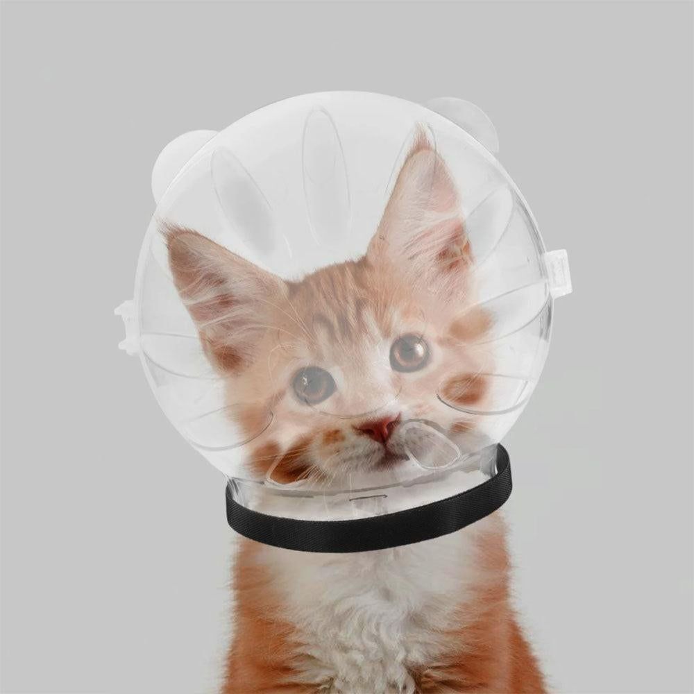 Transparent Cat Hood Astronaut Helmet Muzzle Mask Preventing Biting and Licking - Large