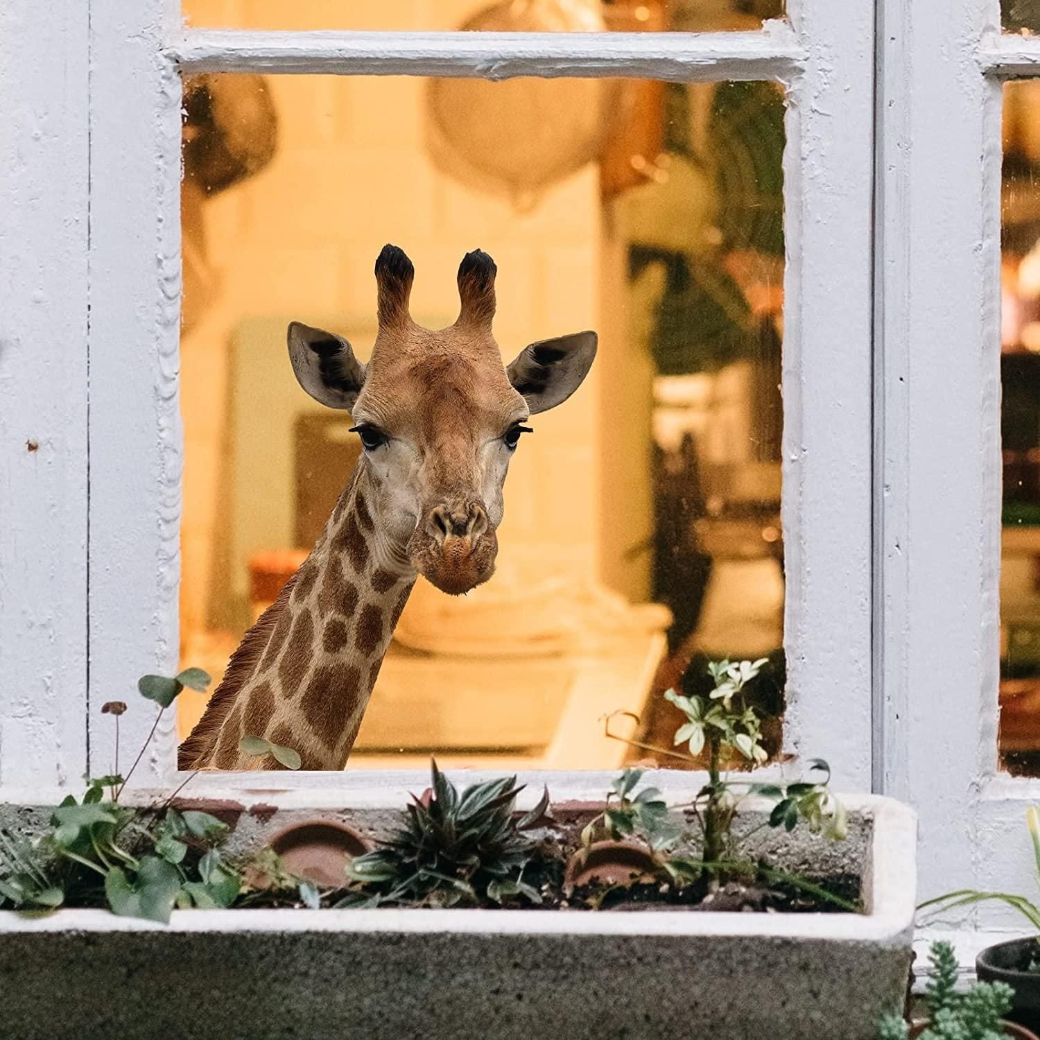 Cute Animals Window Decor Wall Stickers Funny Giraffe Wall Decals