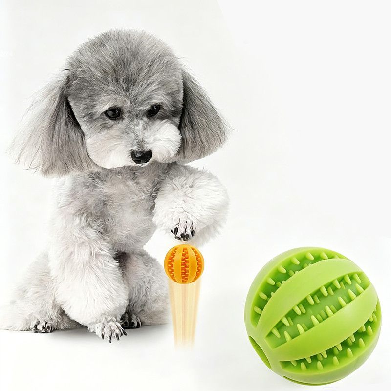 2 Large Pet Treat Dispenser Balls, 7CM - Durable Teething and Dental Care Toys - Green