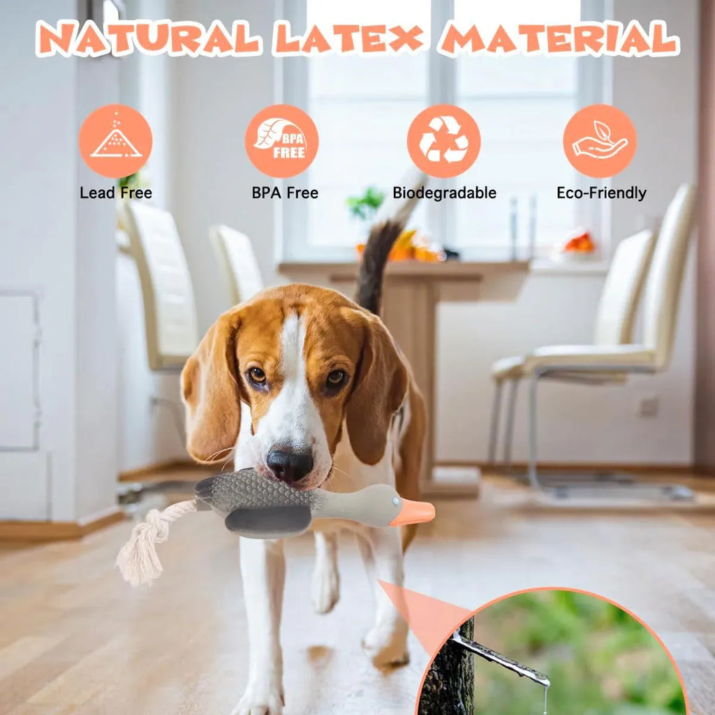 Pet Dog Chew Toy Interactive Sound Making Molar Training Toy Teeth Cleaning Play