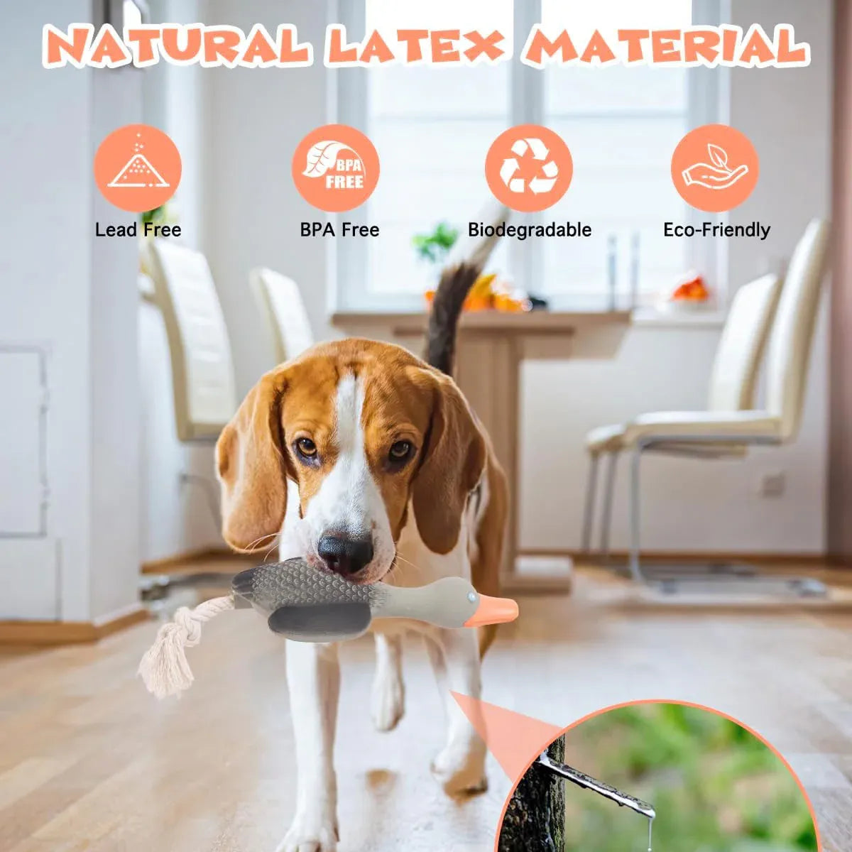 Pet Dog Chew Toy Interactive Sound Making Molar Training Toy Teeth Cleaning Play