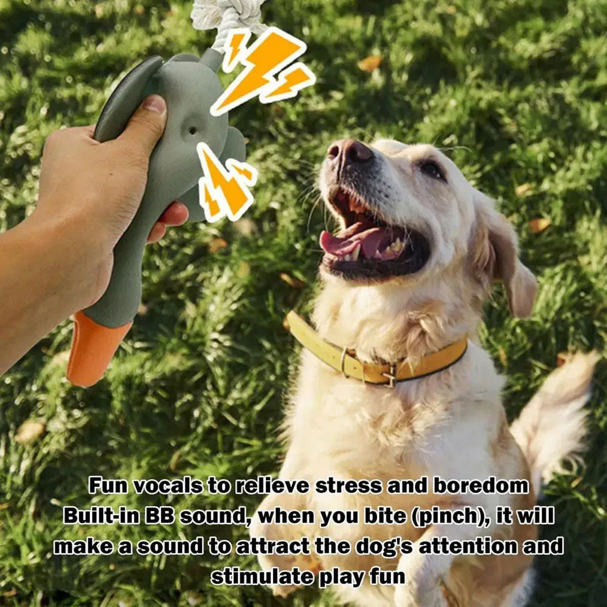 Pet Dog Chew Toy Interactive Sound Making Molar Training Toy Teeth Cleaning Play