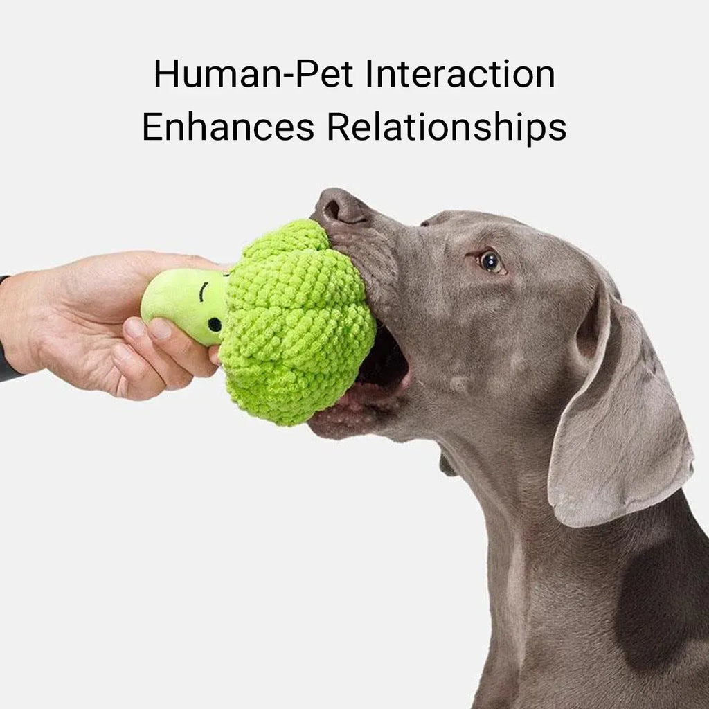Pet Plush Squeaky Chew Toy For Dogs Cats Chew Resistant Boredom Relief Non Toxic