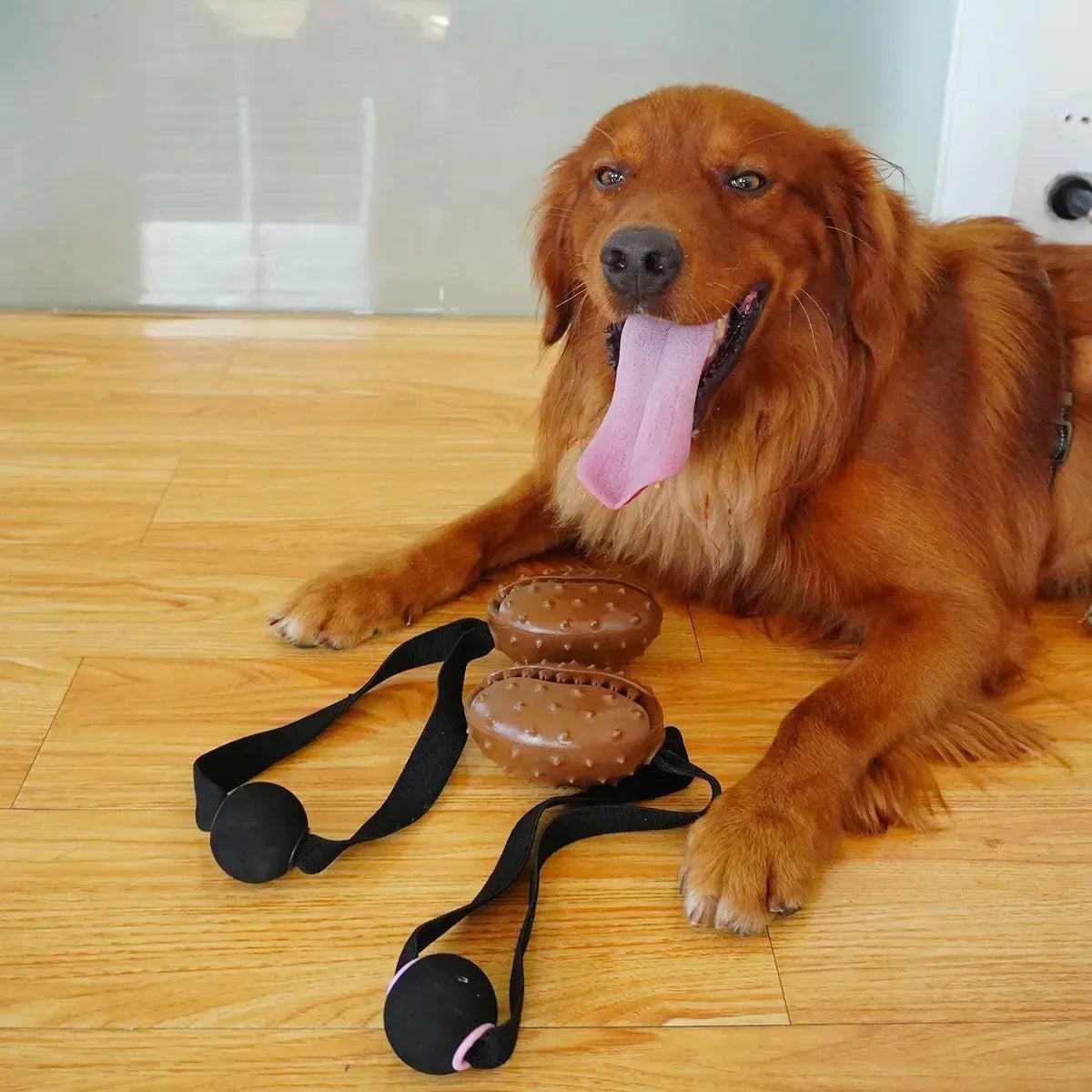 Pet Chew Ball Teeth Cleaning Slow Feeding Rope Toy For Puppies