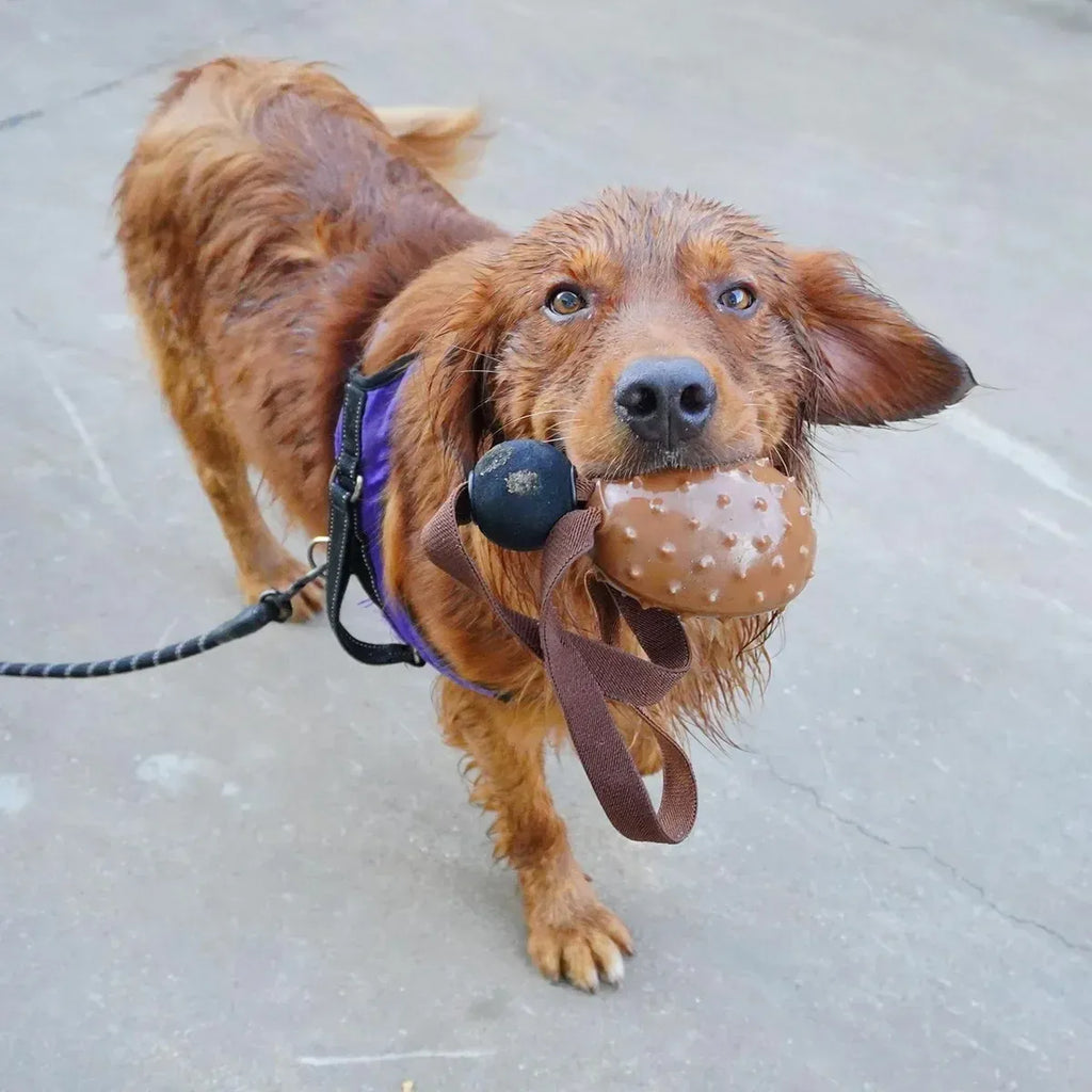 Pet Chew Ball Teeth Cleaning Slow Feeding Rope Toy For Puppies