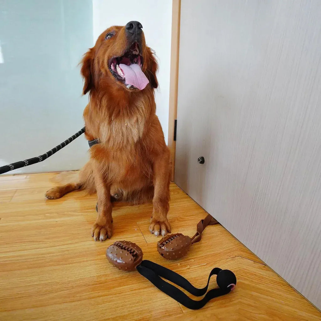 Pet Chew Ball Teeth Cleaning Slow Feeding Rope Toy For Puppies