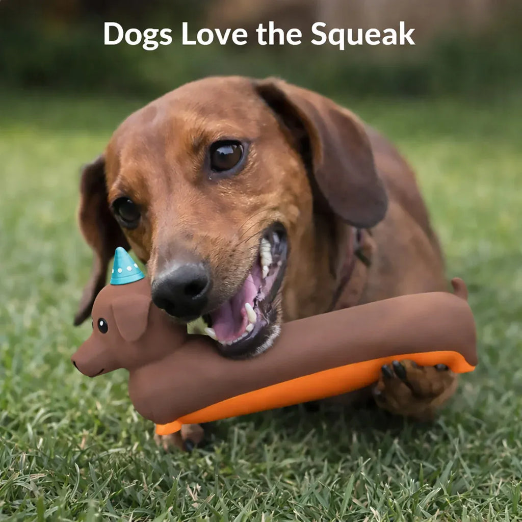 Indoor Pet Latex Squeaky Dachshund Dog Toy Interactive Boredom Relief Chew Toy