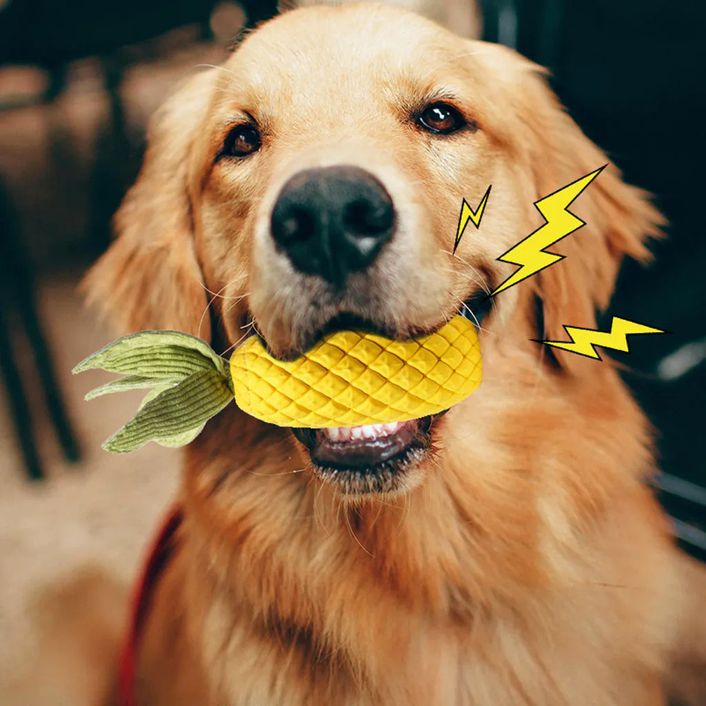 Dog Rubber Pineapple Toy Bite Molar Tooth Interactive Sound Resistant Pet Toy