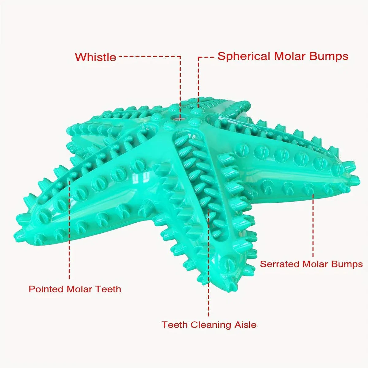 Pet Starfish Floating Dog Toy Audible Water Toy for Dogs Interactive Play Fun - Green