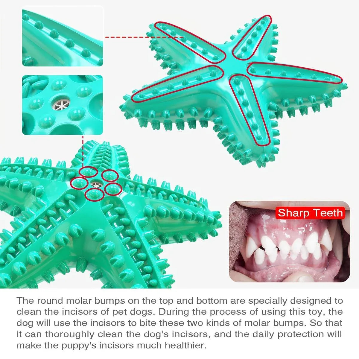 Pet Starfish Floating Dog Toy Audible Water Toy for Dogs Interactive Play Fun - Green