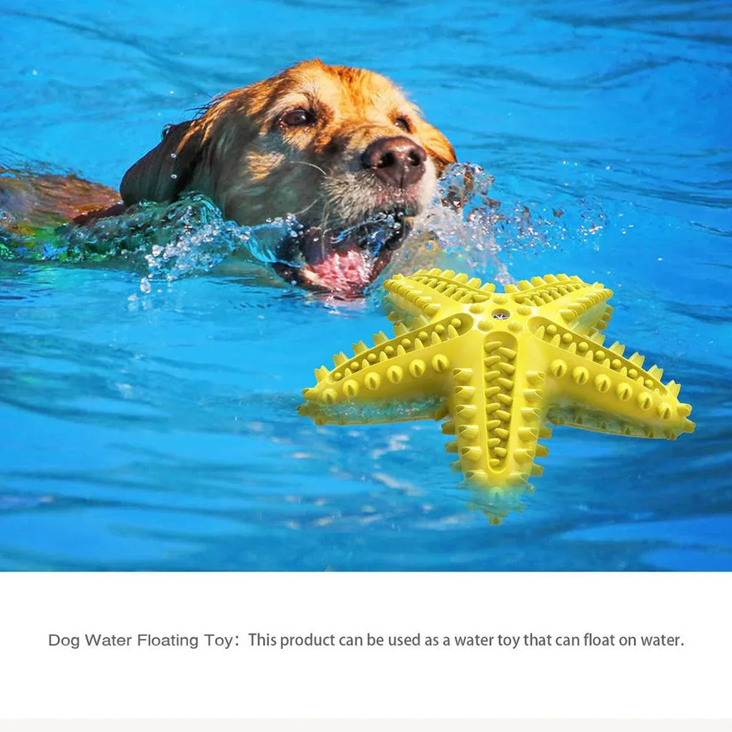 Pet Starfish Floating Dog Toy Audible Water Toy for Dogs Interactive Play Fun - Green