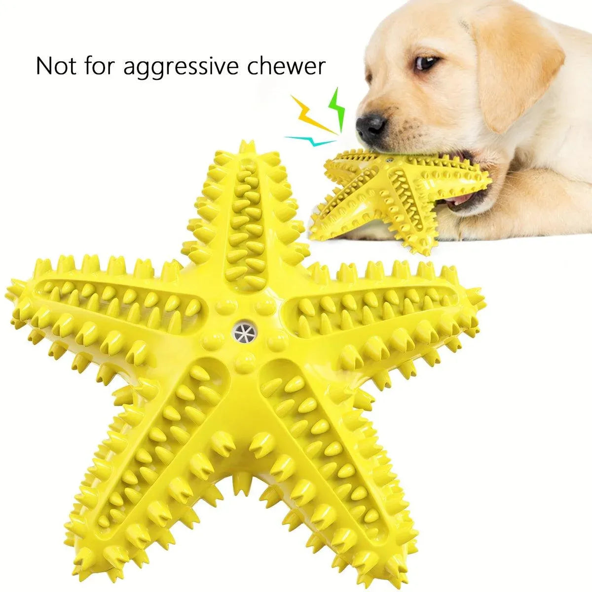 Pet Starfish Floating Dog Toy Audible Water Toy for Dogs Interactive Play Fun - Green