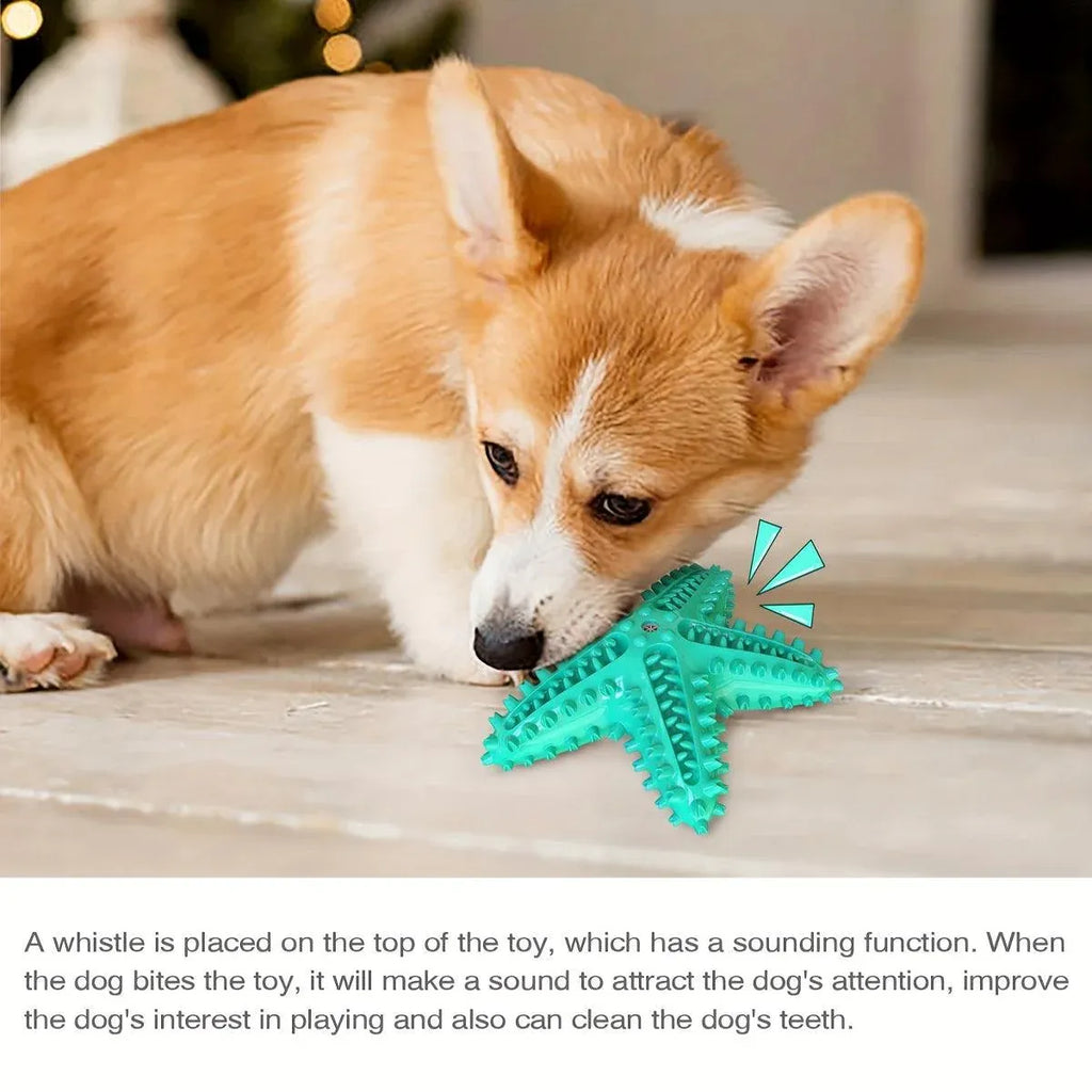 Pet Starfish Floating Dog Toy Audible Water Toy for Dogs Interactive Play Fun - Yellow
