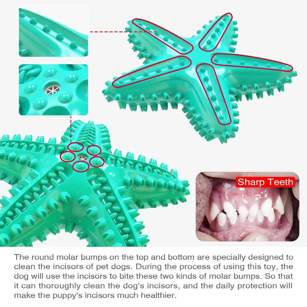 Pet Starfish Floating Dog Toy Audible Water Toy for Dogs Interactive Play Fun - Yellow