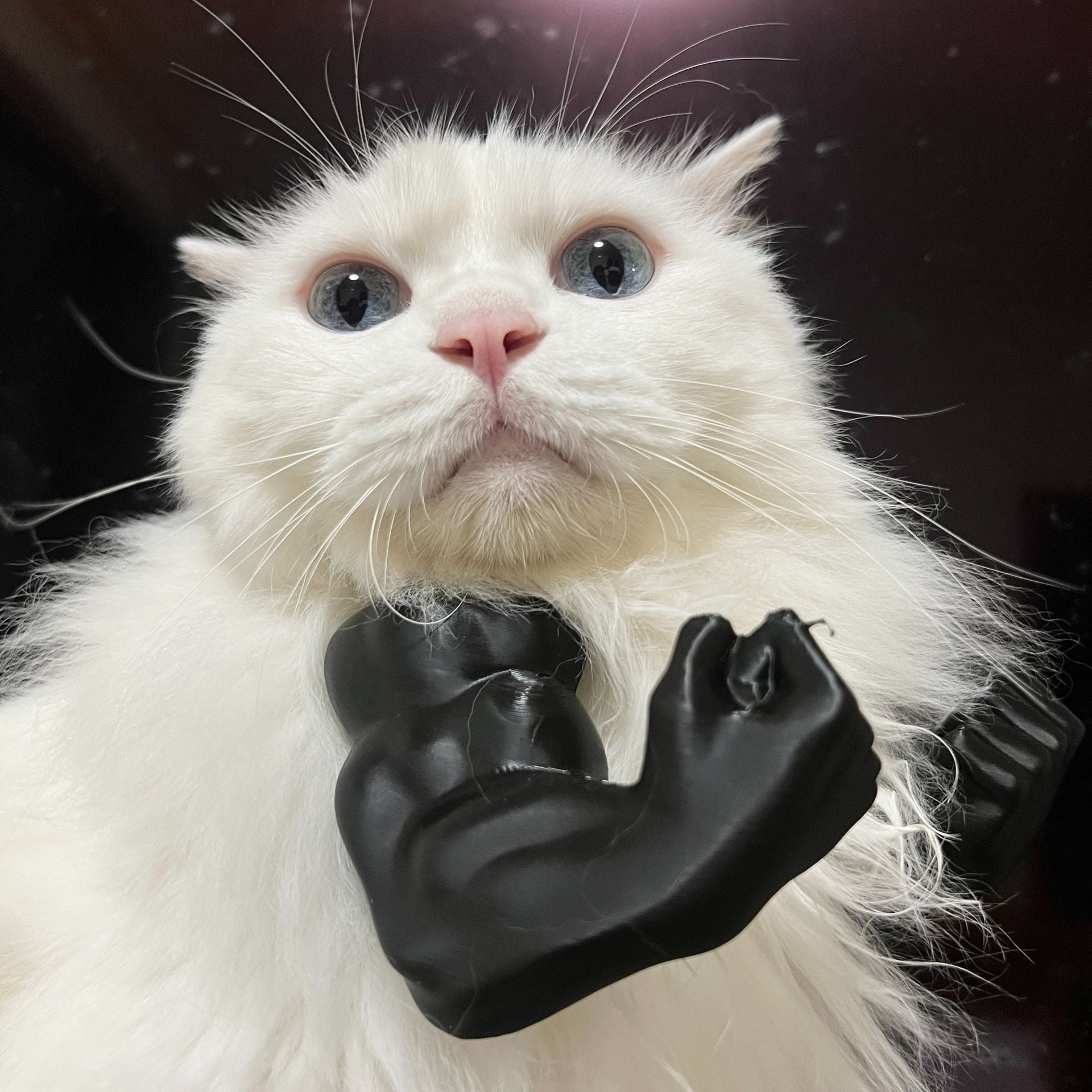 2pc Hilarious Muscle Arm Pet Costume Prop - Funny Novelty Arms for Cats & Small Dogs(pink)