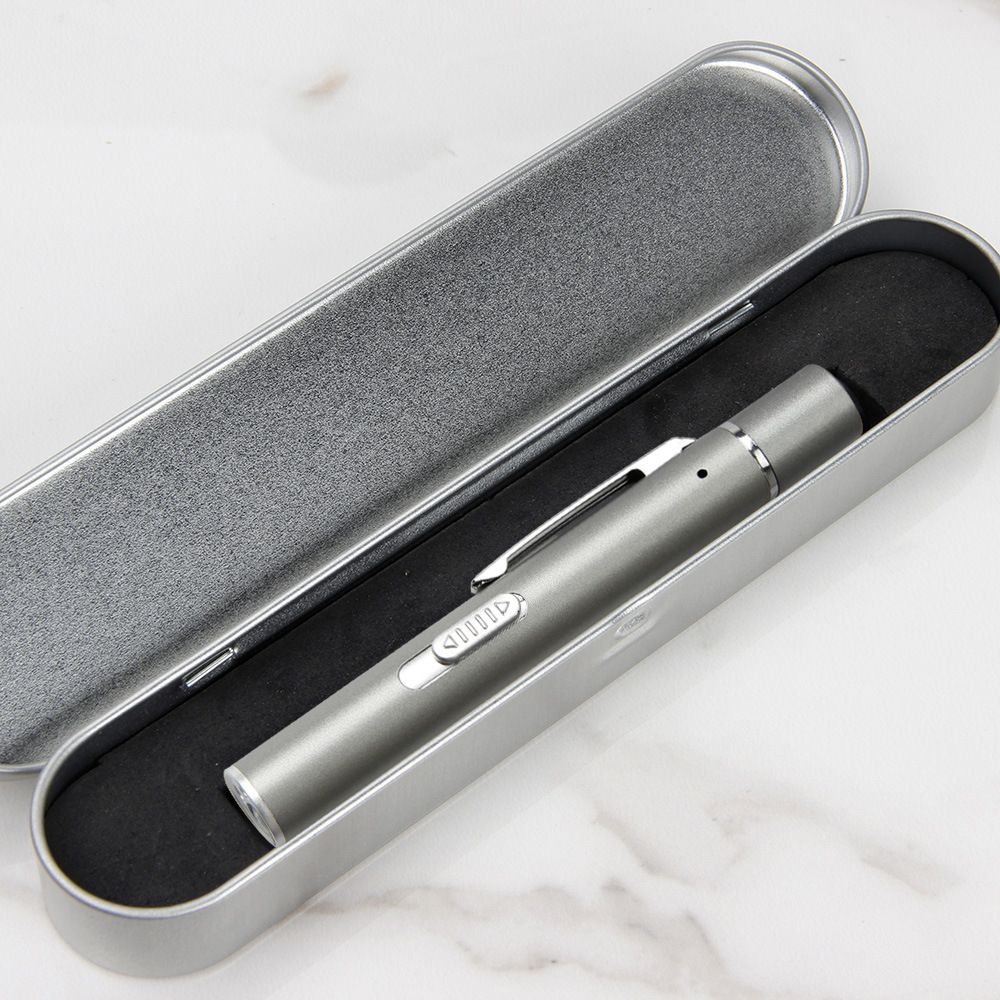 Grey Metal Laser Cat Toy Pen Set - 2 Piece USB Rechargeable 3-in-1 Laser Pointer with UV Light and LED Torch in Gift Tin Box