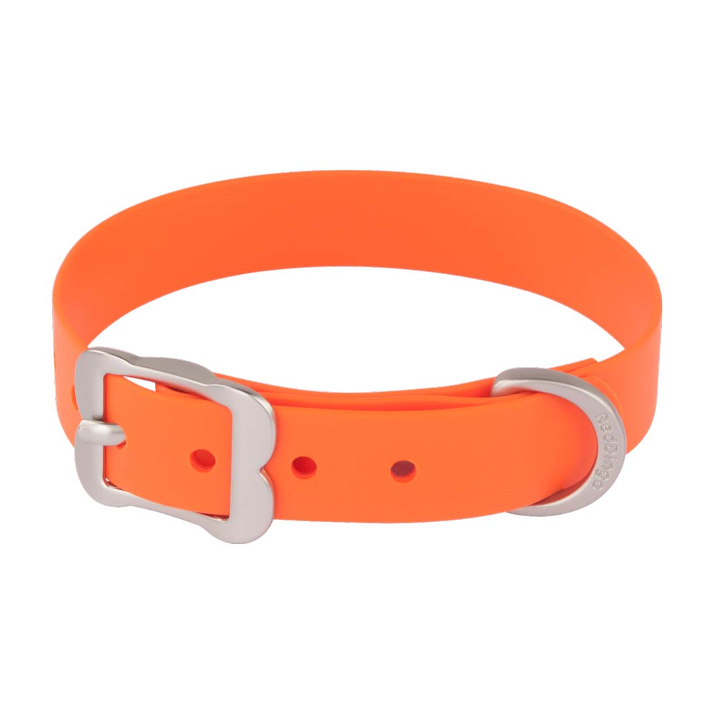 VIVID Waterproof Dog Collar