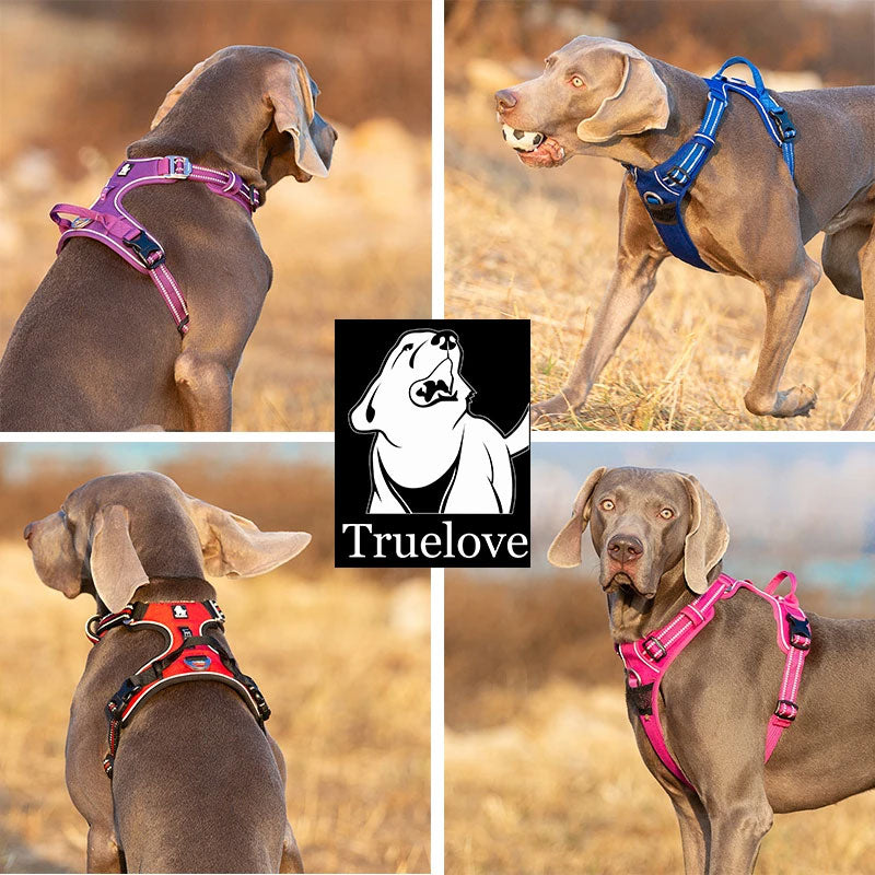 Adventurer No Pull Dog Harness Extra Durable
