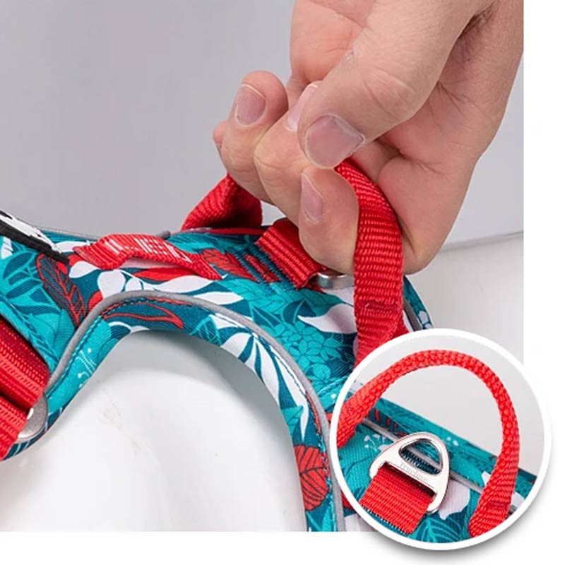 Adventurer No Pull Dog Harness Special Edition