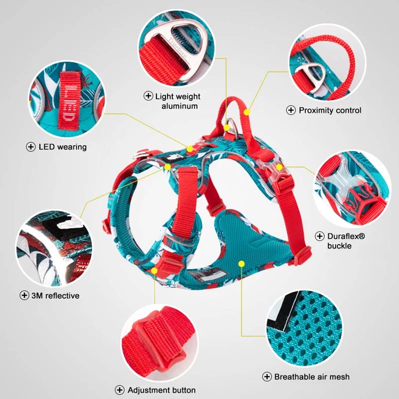 Adventurer No Pull Dog Harness Special Edition
