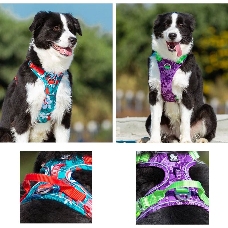 Adventurer No Pull Dog Harness Special Edition