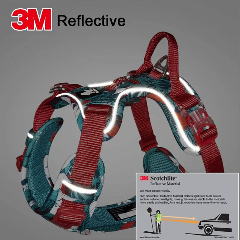 Adventurer No Pull Dog Harness Special Edition