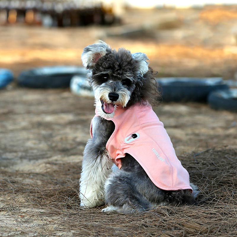 Antibacterial Dog Winter Coat