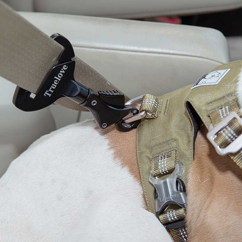 Dog Car Seat Belt Safety Buckle