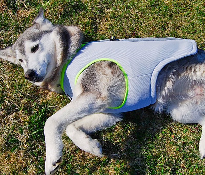 Dog Cooling Vest - Harness Cooler Jacket