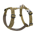 Trail Runner Dog H-Harness