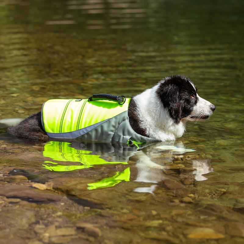 Life Jacket for Dogs Truelove