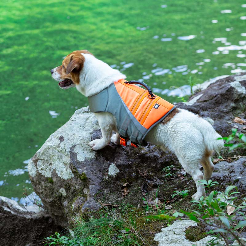 Life Jacket for Dogs Truelove
