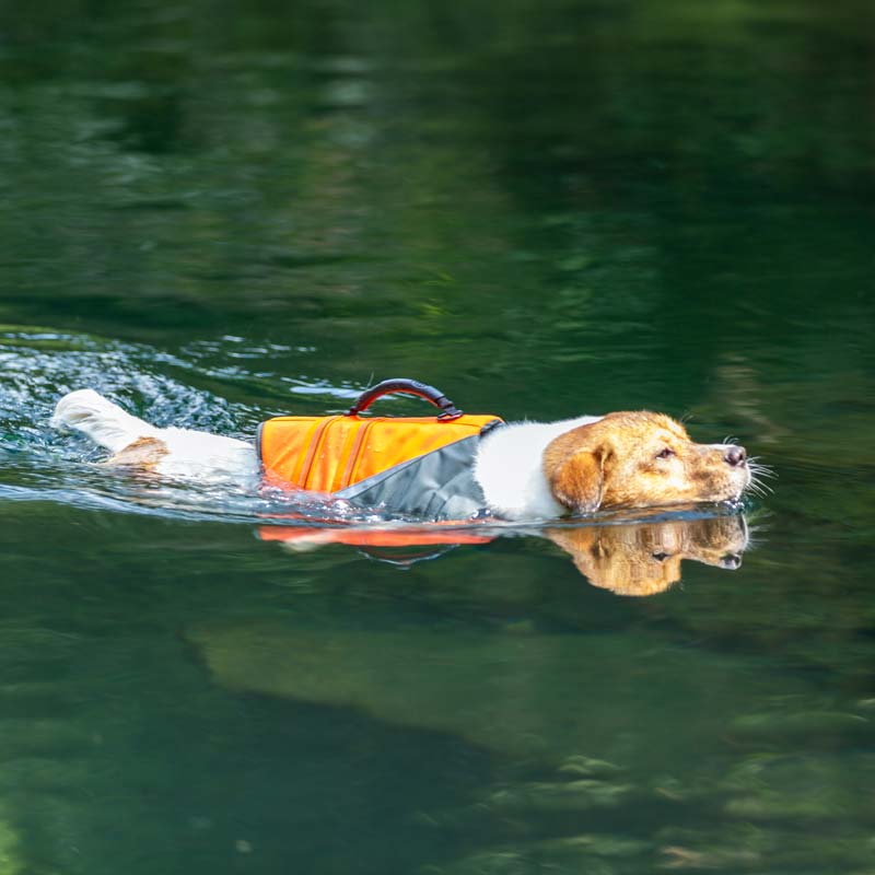 Life Jacket for Dogs Truelove