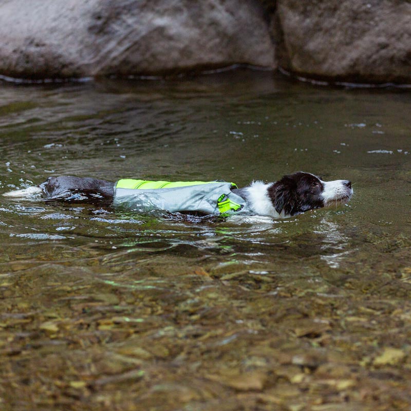 Life Jacket for Dogs Truelove